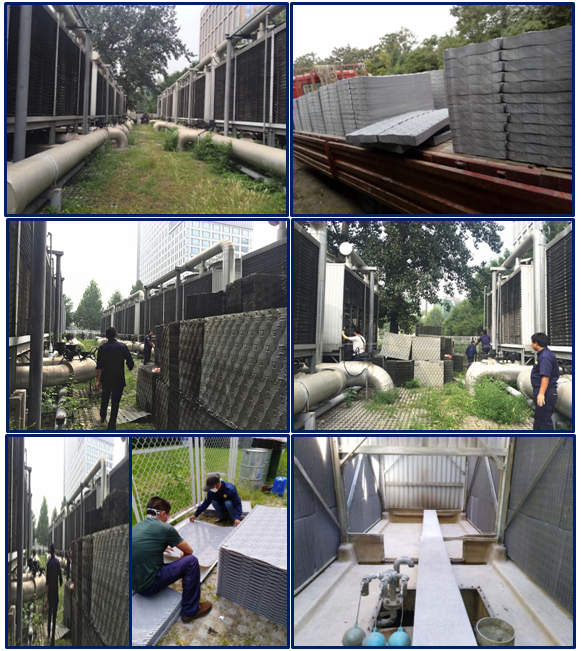 www.dreamaa.cn